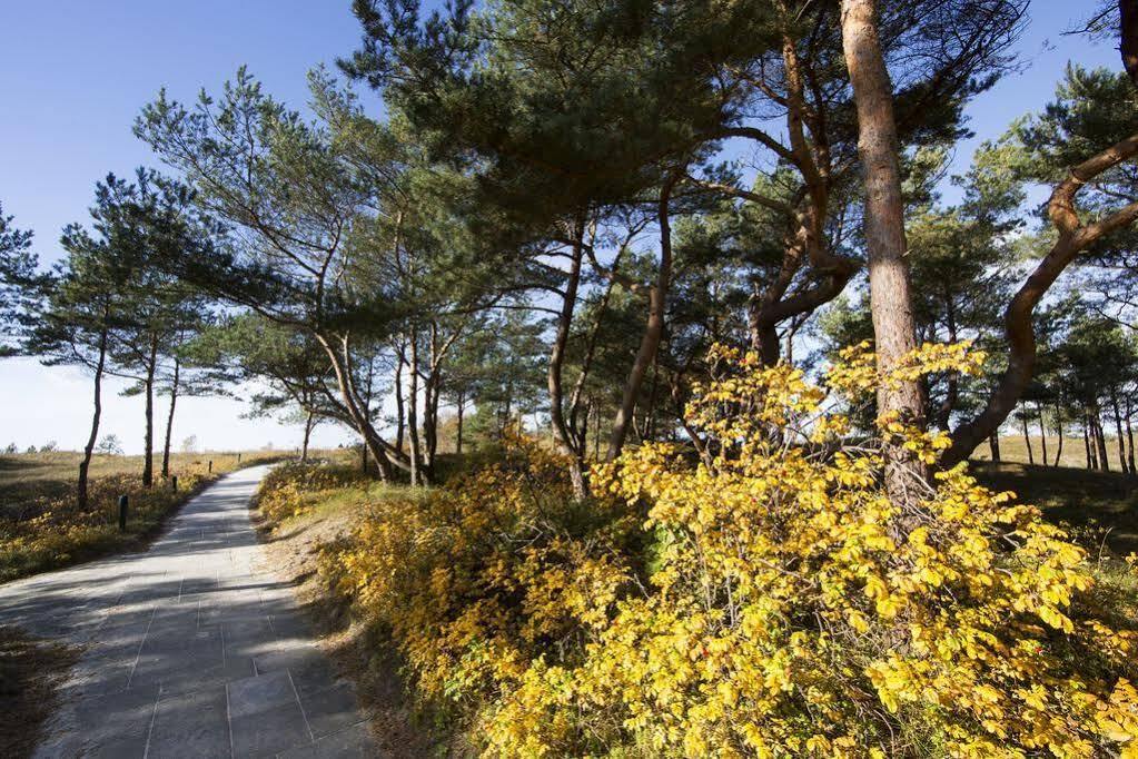 Strandhotel Duenenmeer - Adults Only Hotel Dierhagen